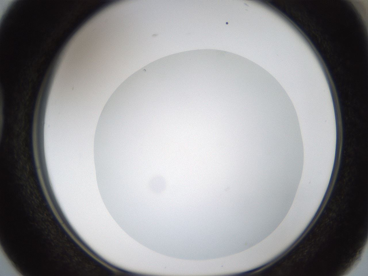 folderID46_plateID1046_batchID2119_wellNum38_profileID1_d1_r46765_ef.jpg