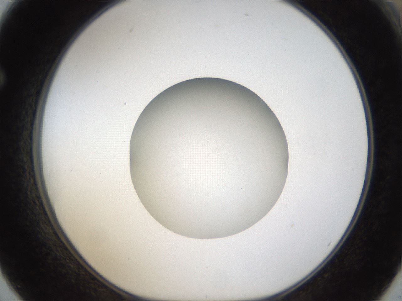 folderID46_plateID1046_batchID2119_wellNum62_profileID1_d1_r46789_ef.jpg