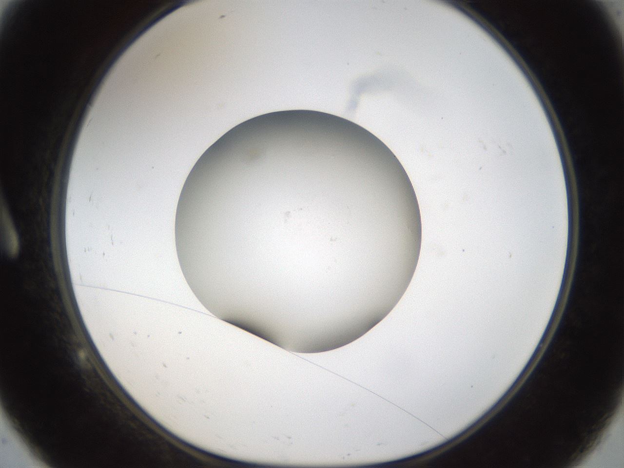 folderID46_plateID1046_batchID2119_wellNum9_profileID1_d1_r46736_ef.jpg