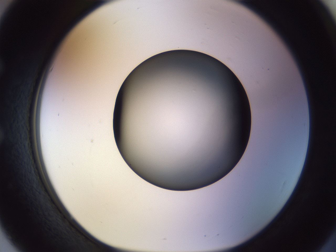 folderID470_plateID1470_batchID5583_wellNum51_profileID1_d1_r93065_ef.jpg