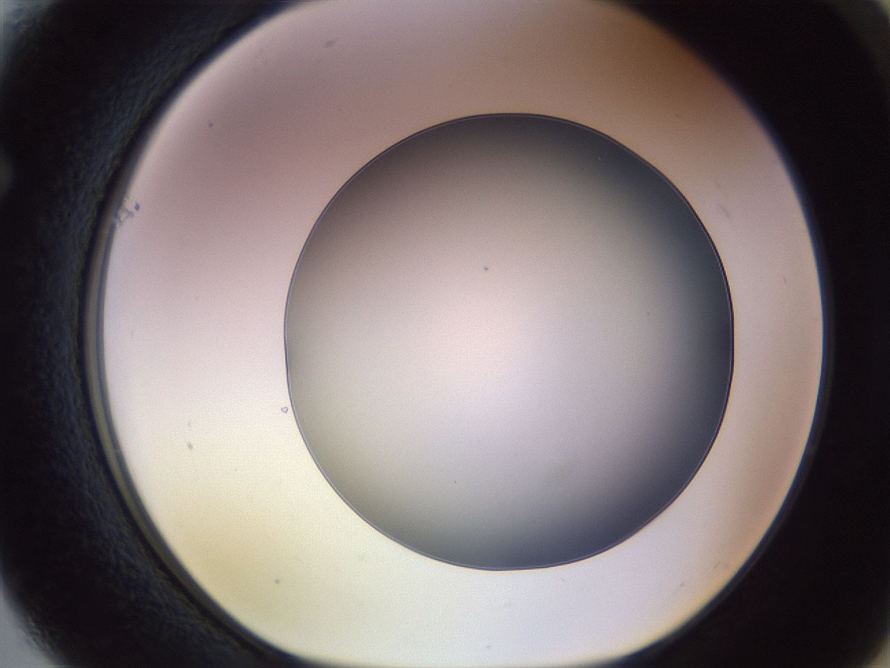 folderID470_plateID1470_batchID5583_wellNum61_profileID1_d1_r93085_ef.jpg