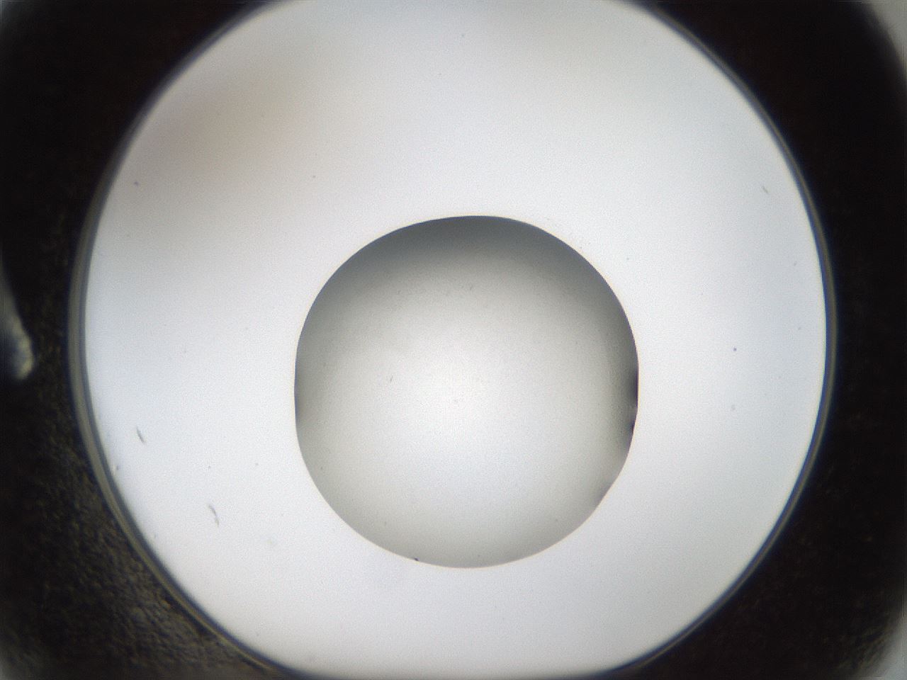 folderID47_plateID1047_batchID2123_wellNum2_profileID1_d1_r47113_ef.jpg