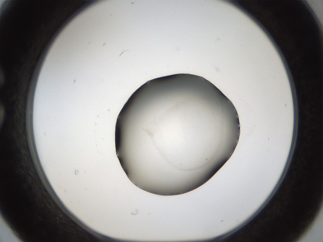 folderID47_plateID1047_batchID2123_wellNum30_profileID1_d1_r47141_ef.jpg