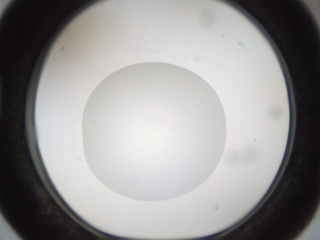 folderID47_plateID1047_batchID2123_wellNum40_profileID1_d1_r47151_ef.jpg