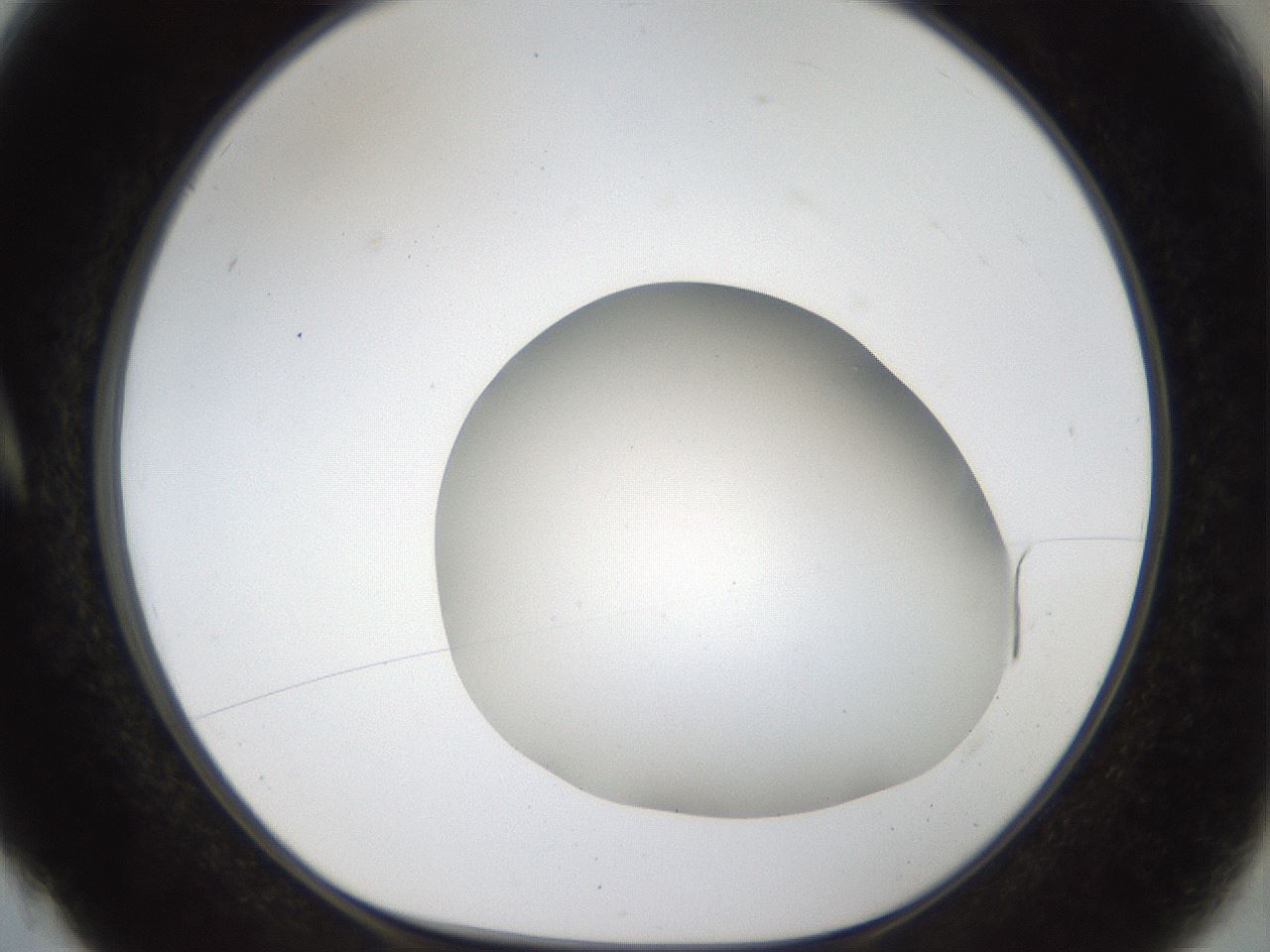 folderID47_plateID1047_batchID2123_wellNum4_profileID1_d1_r47115_ef.jpg