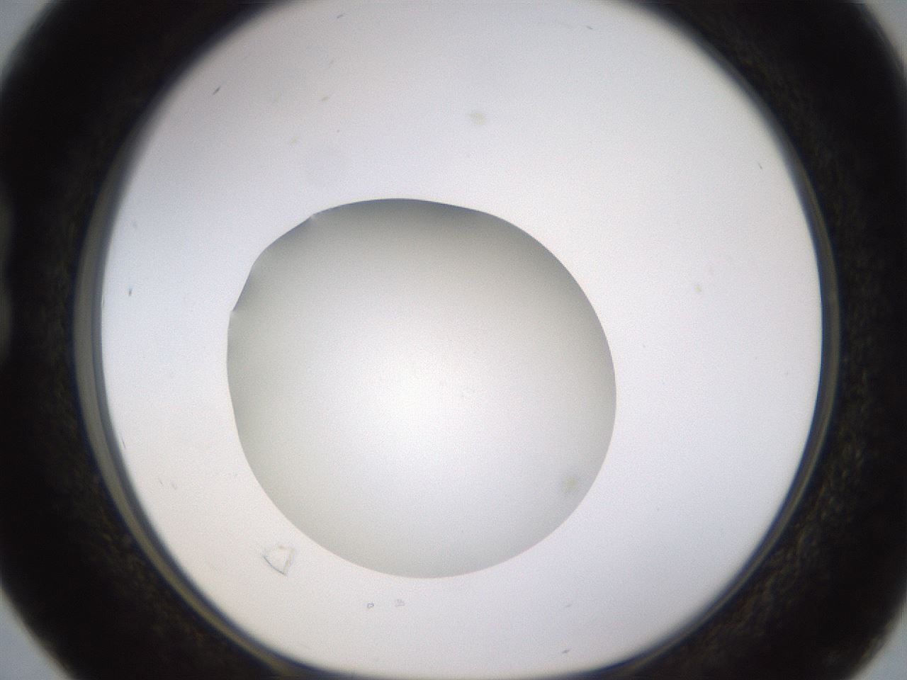 folderID480_plateID1480_batchID5744_wellNum16_profileID1_d1_r93671_ef.jpg