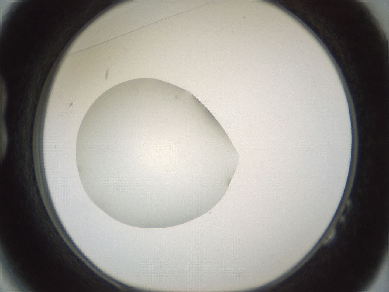 folderID430_plateID1430_batchID5437_wellNum14_profileID1_d1_r89523_ef.jpg