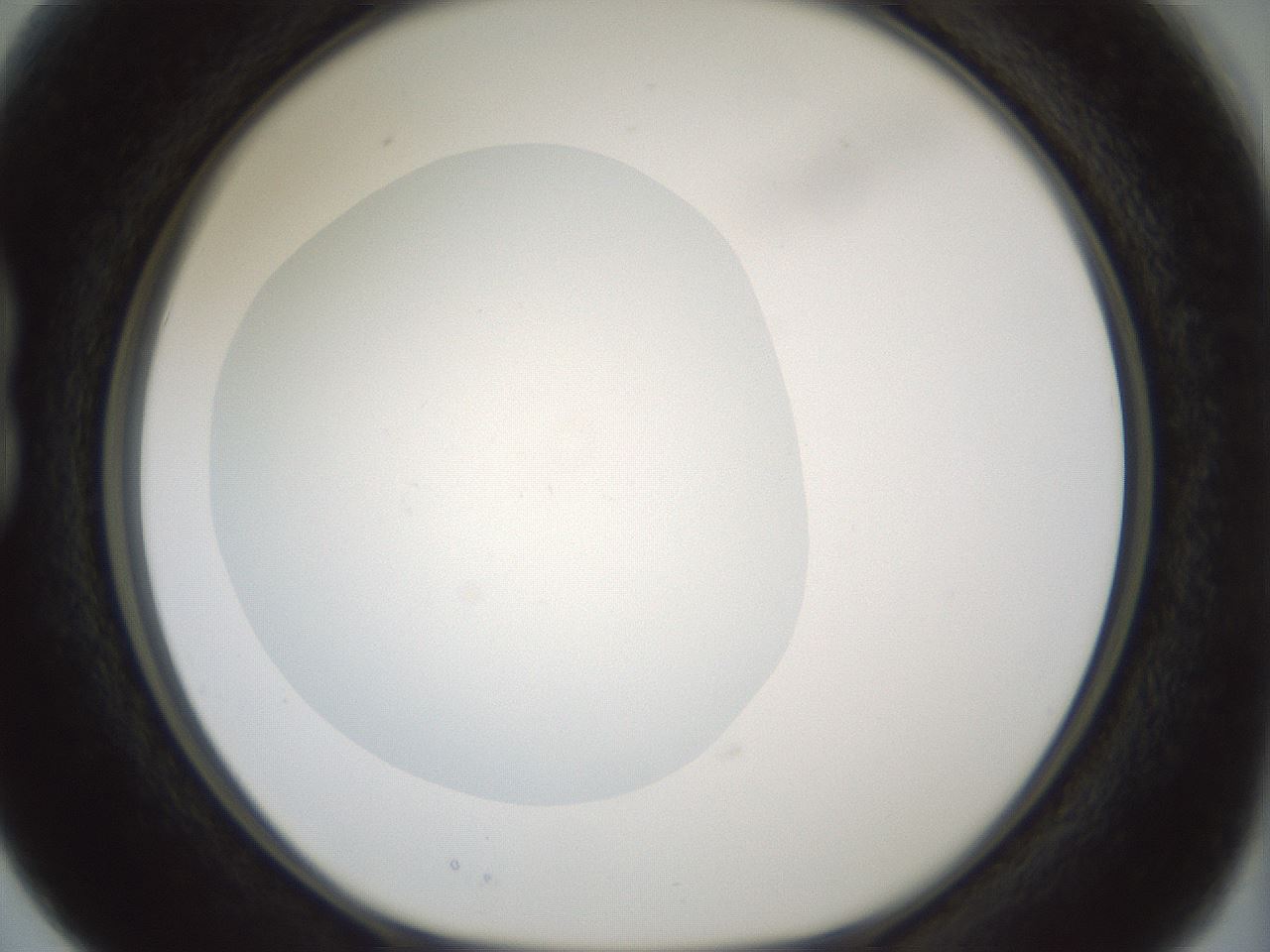 folderID430_plateID1430_batchID5437_wellNum15_profileID1_d1_r89525_ef.jpg