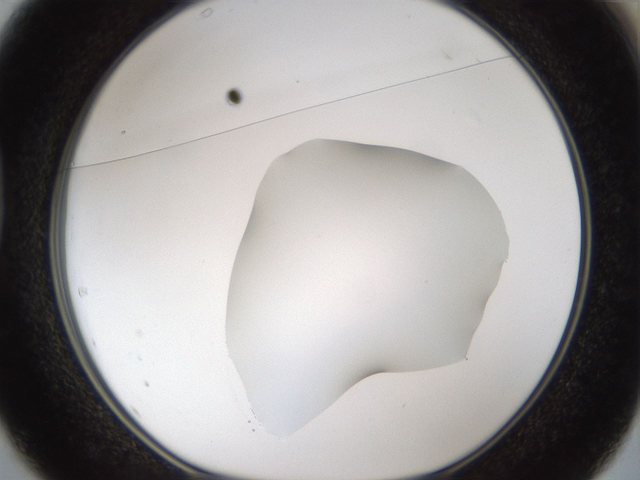 folderID48_plateID1048_batchID2120_wellNum37_profileID1_d1_r46860_ef.jpg