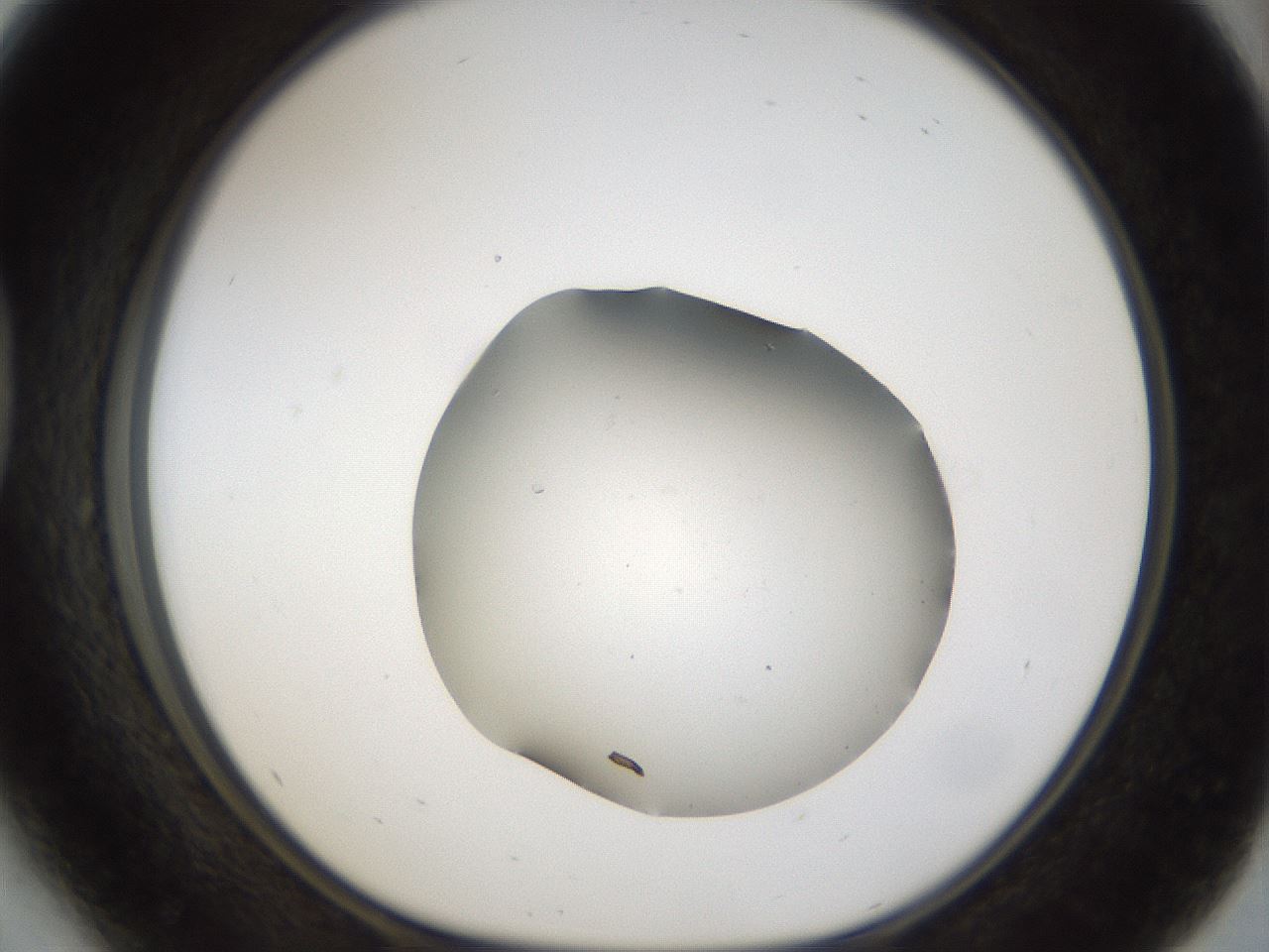 folderID48_plateID1048_batchID2120_wellNum41_profileID1_d1_r46864_ef.jpg
