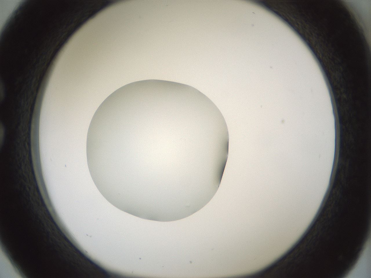 folderID430_plateID1430_batchID5437_wellNum26_profileID1_d1_r89547_ef.jpg