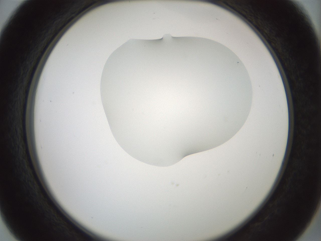 folderID430_plateID1430_batchID5437_wellNum39_profileID1_d2_r89574_ef.jpg