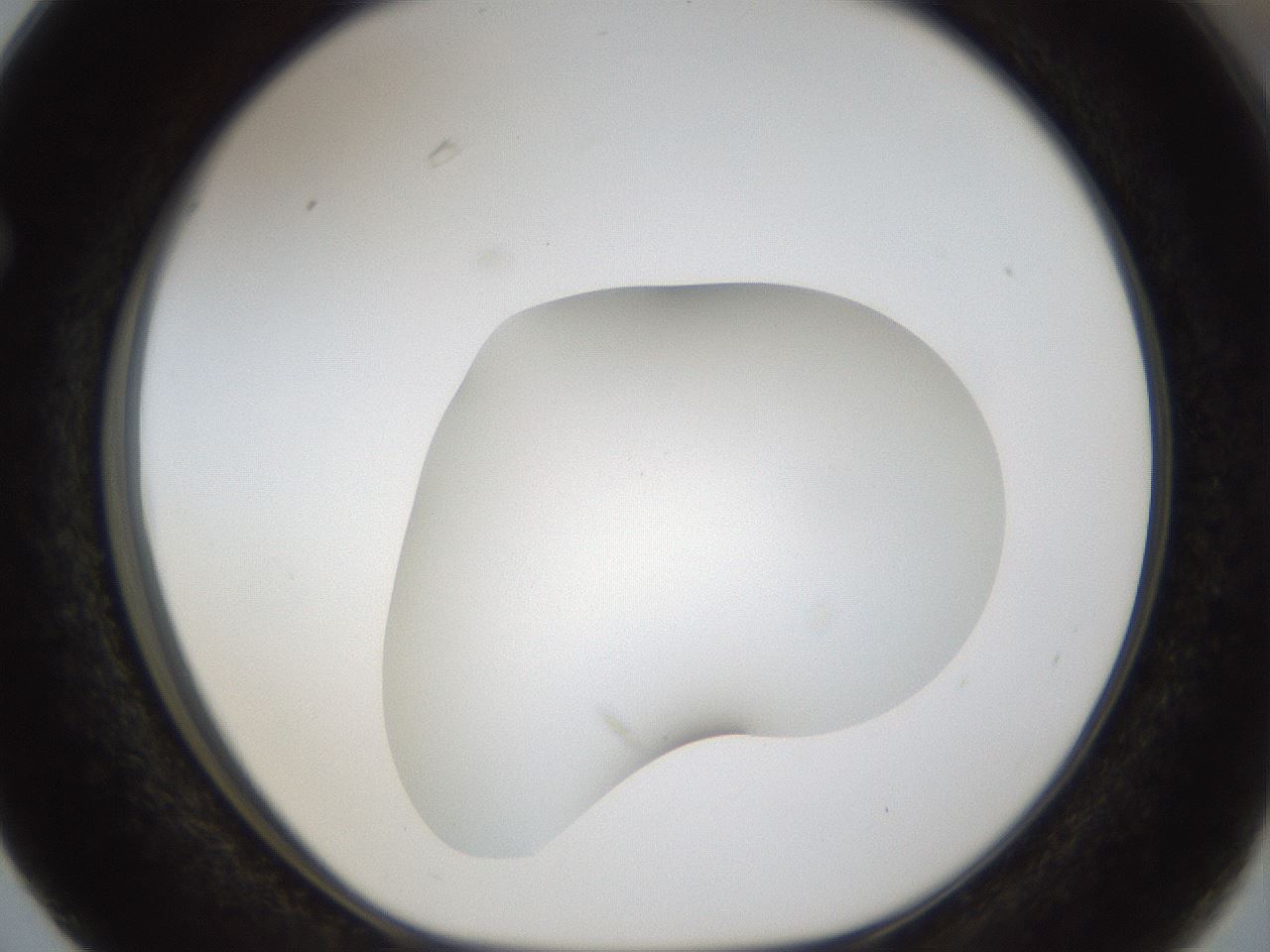folderID48_plateID1048_batchID2120_wellNum63_profileID1_d1_r46886_ef.jpg