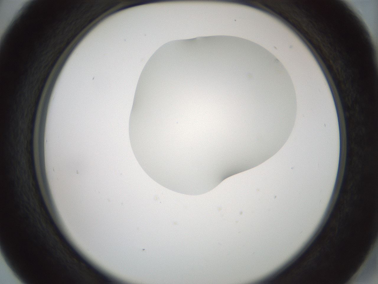 folderID430_plateID1430_batchID5437_wellNum41_profileID1_d2_r89578_ef.jpg