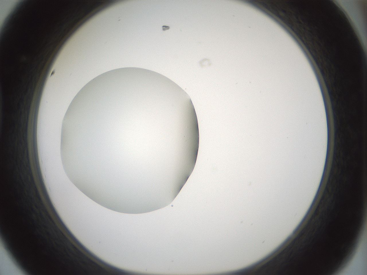 folderID430_plateID1430_batchID5437_wellNum44_profileID1_d1_r89583_ef.jpg