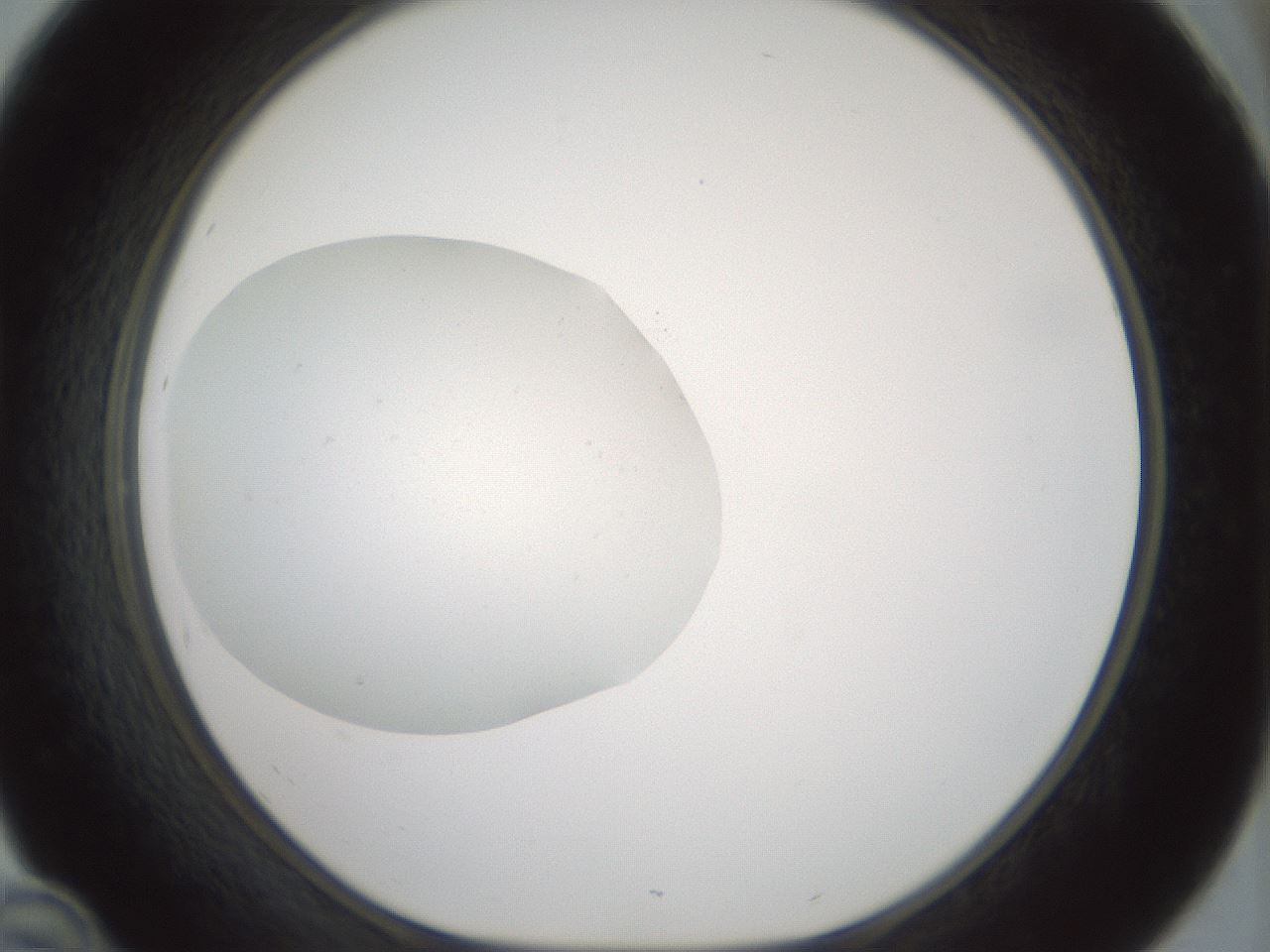 folderID430_plateID1430_batchID5437_wellNum46_profileID1_d1_r89587_ef.jpg