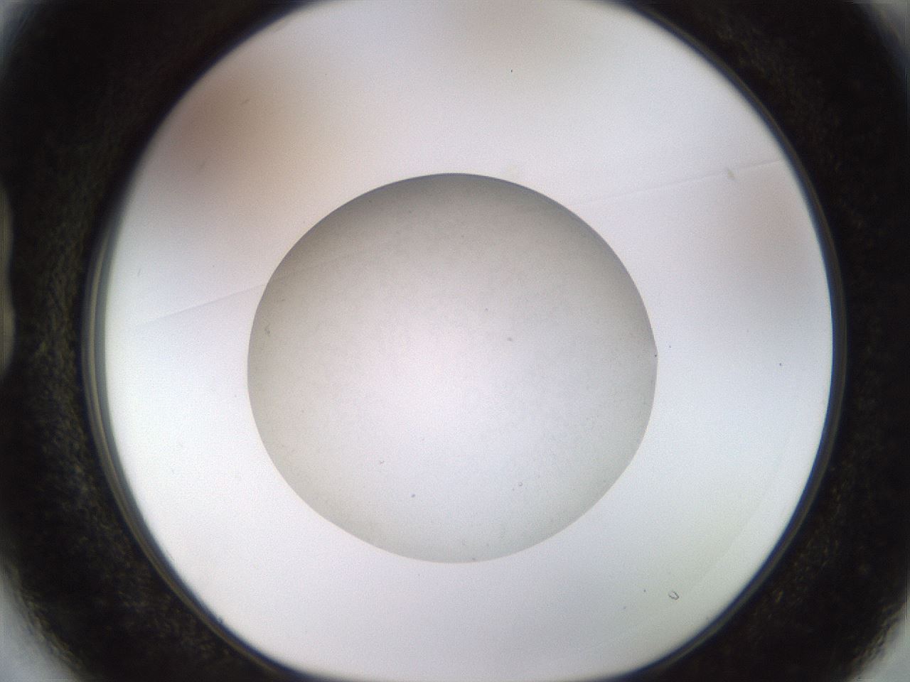 folderID491_plateID1491_batchID5858_wellNum13_profileID1_d1_r94628_ef.jpg