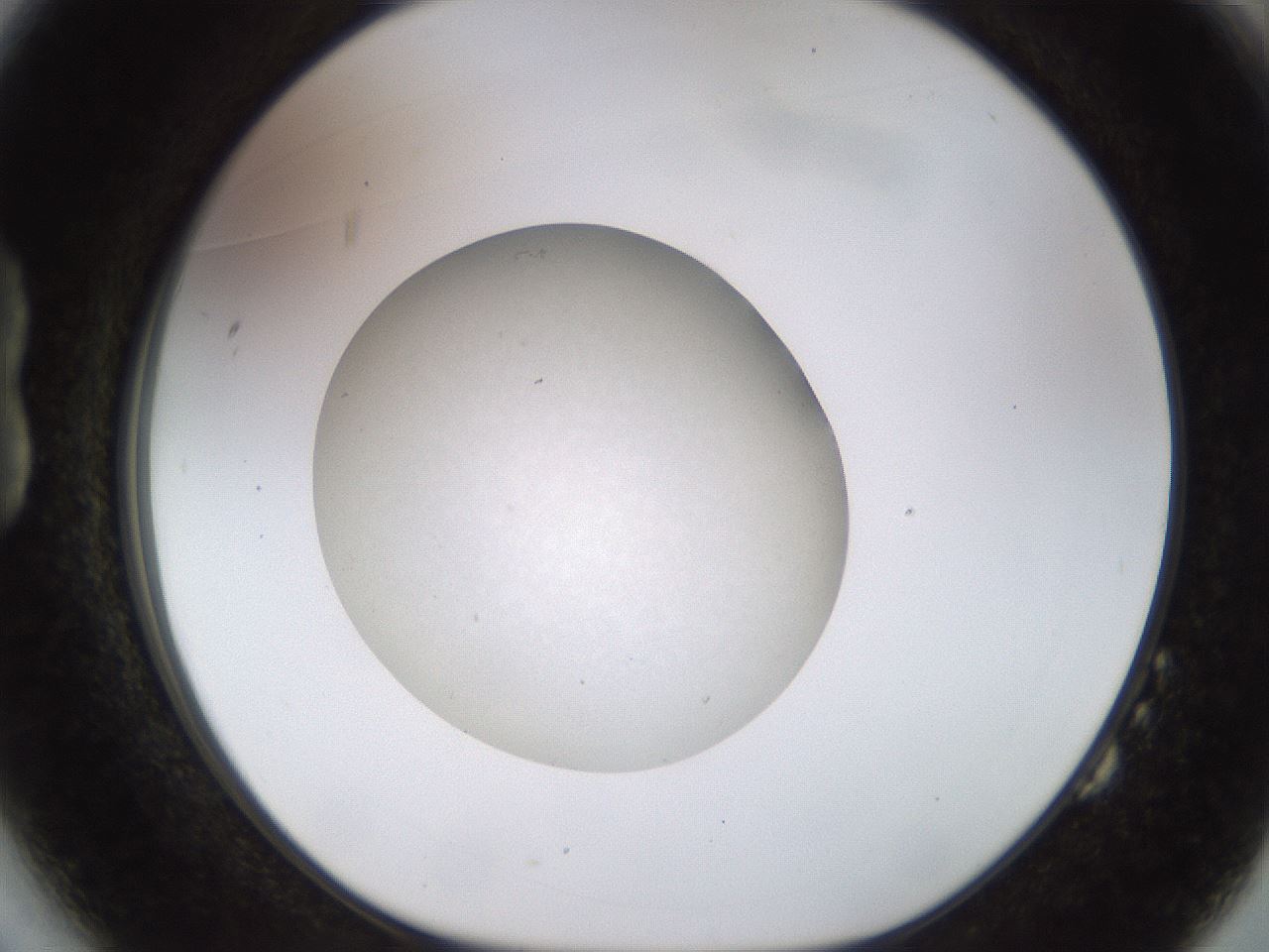 folderID491_plateID1491_batchID5858_wellNum14_profileID1_d1_r94629_ef.jpg