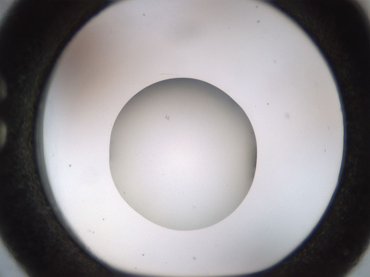 folderID491_plateID1491_batchID5858_wellNum26_profileID1_d1_r94641_ef.jpg