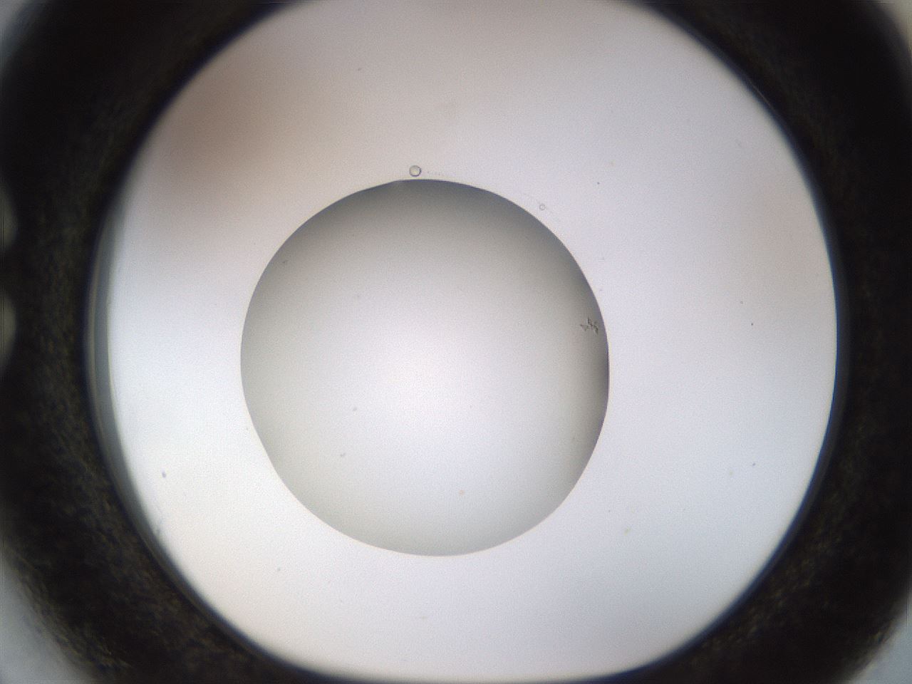 folderID491_plateID1491_batchID5858_wellNum27_profileID1_d1_r94642_ef.jpg