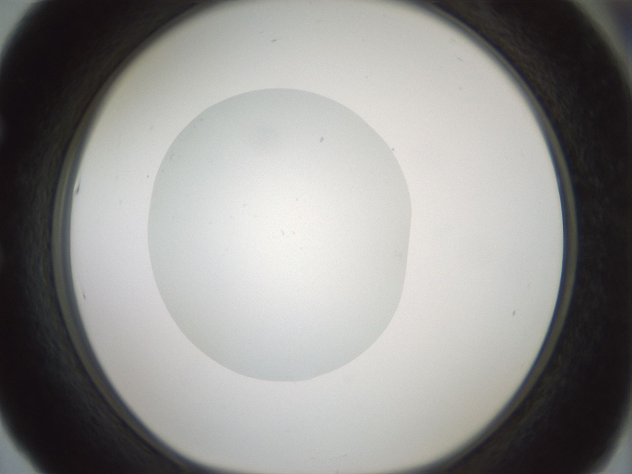 folderID430_plateID1430_batchID5437_wellNum53_profileID1_d1_r89601_ef.jpg