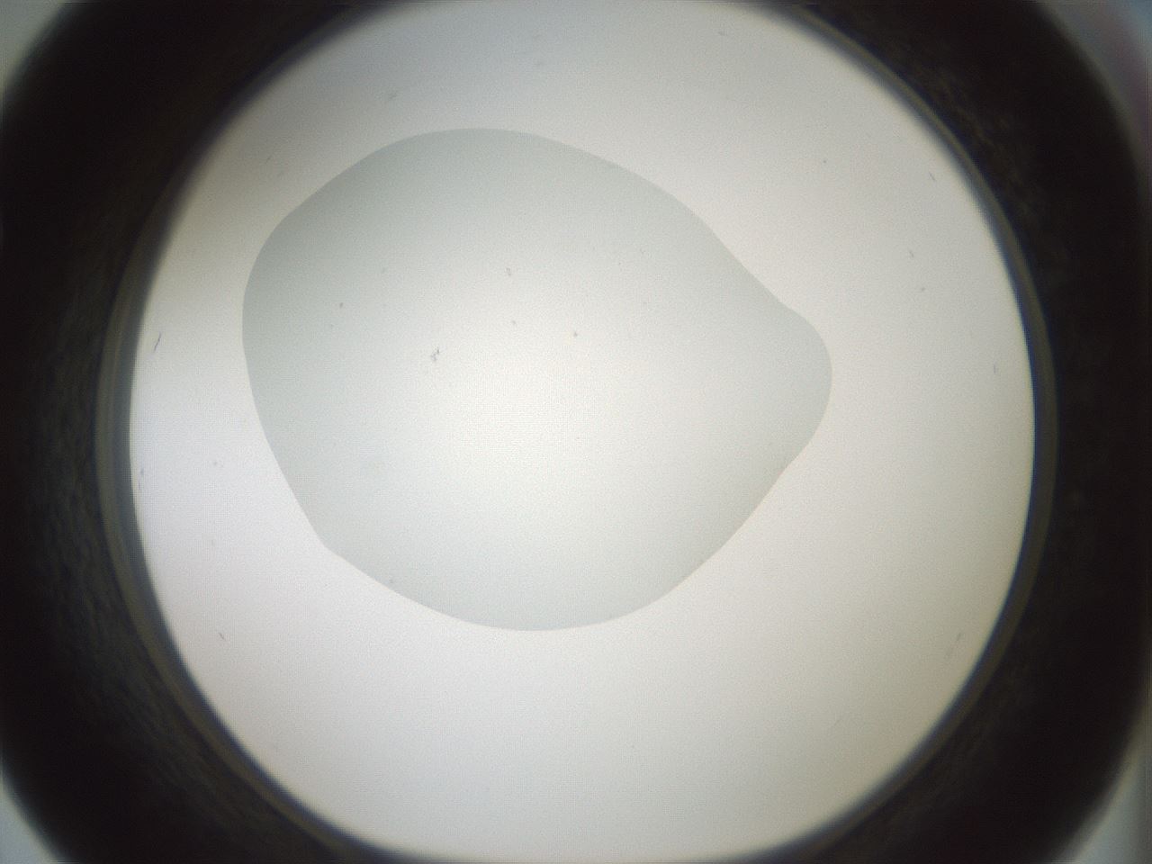 folderID430_plateID1430_batchID5437_wellNum67_profileID1_d1_r89629_ef.jpg