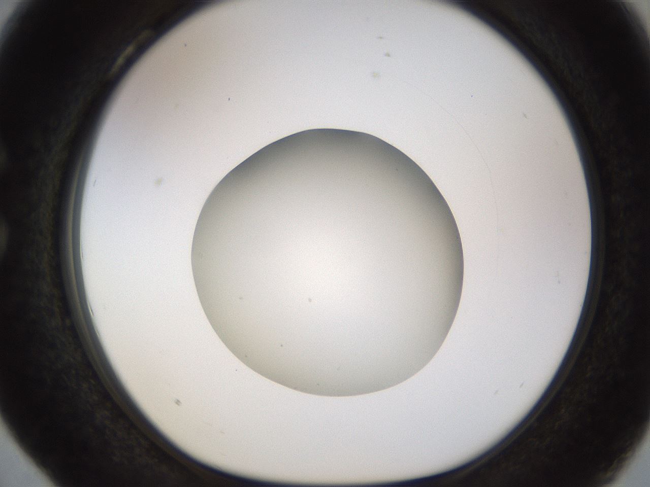 folderID491_plateID1491_batchID5858_wellNum28_profileID1_d1_r94643_ef.jpg