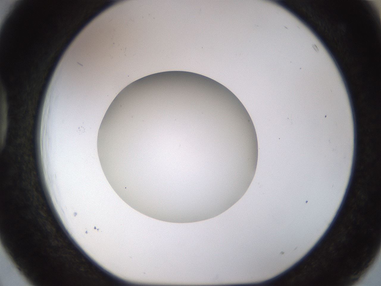 folderID491_plateID1491_batchID5858_wellNum39_profileID1_d1_r94654_ef.jpg