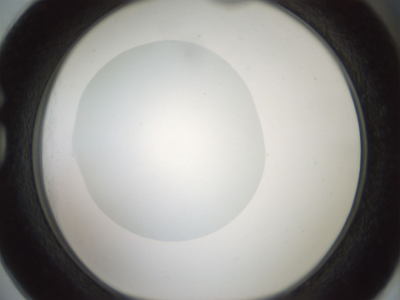 folderID430_plateID1430_batchID5437_wellNum73_profileID1_d1_r89641_ef.jpg