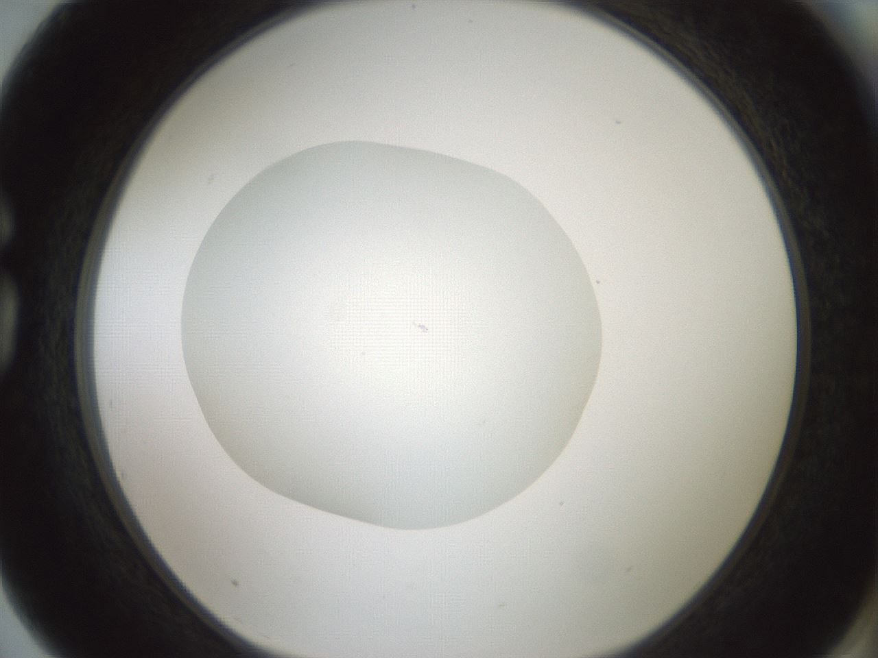 folderID430_plateID1430_batchID5437_wellNum75_profileID1_d1_r89645_ef.jpg