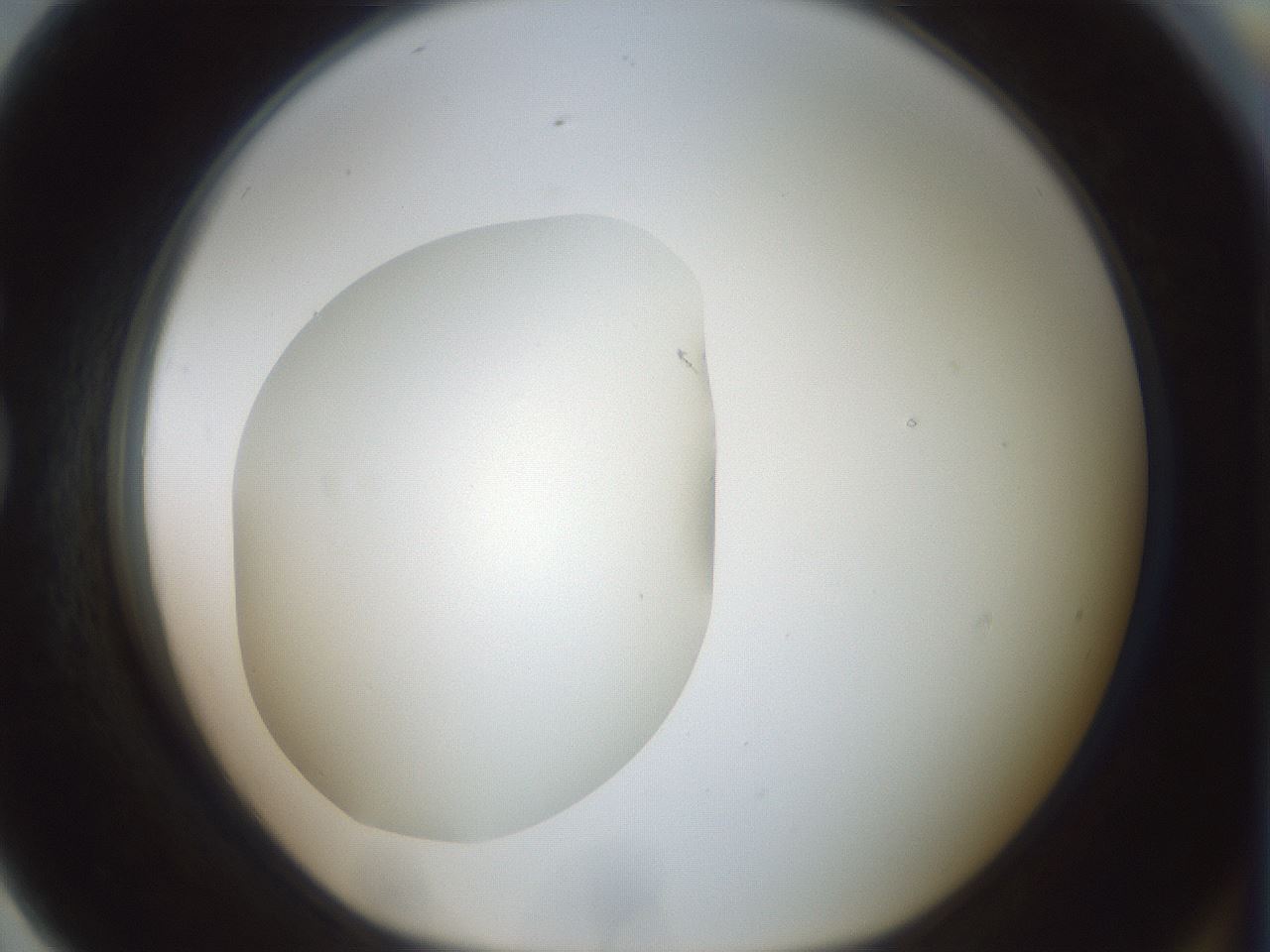 folderID430_plateID1430_batchID5437_wellNum79_profileID1_d1_r89653_ef.jpg