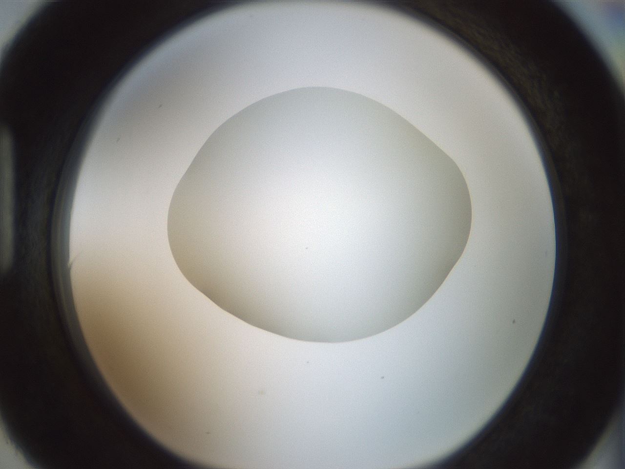 folderID430_plateID1430_batchID5437_wellNum90_profileID1_d1_r89675_ef.jpg
