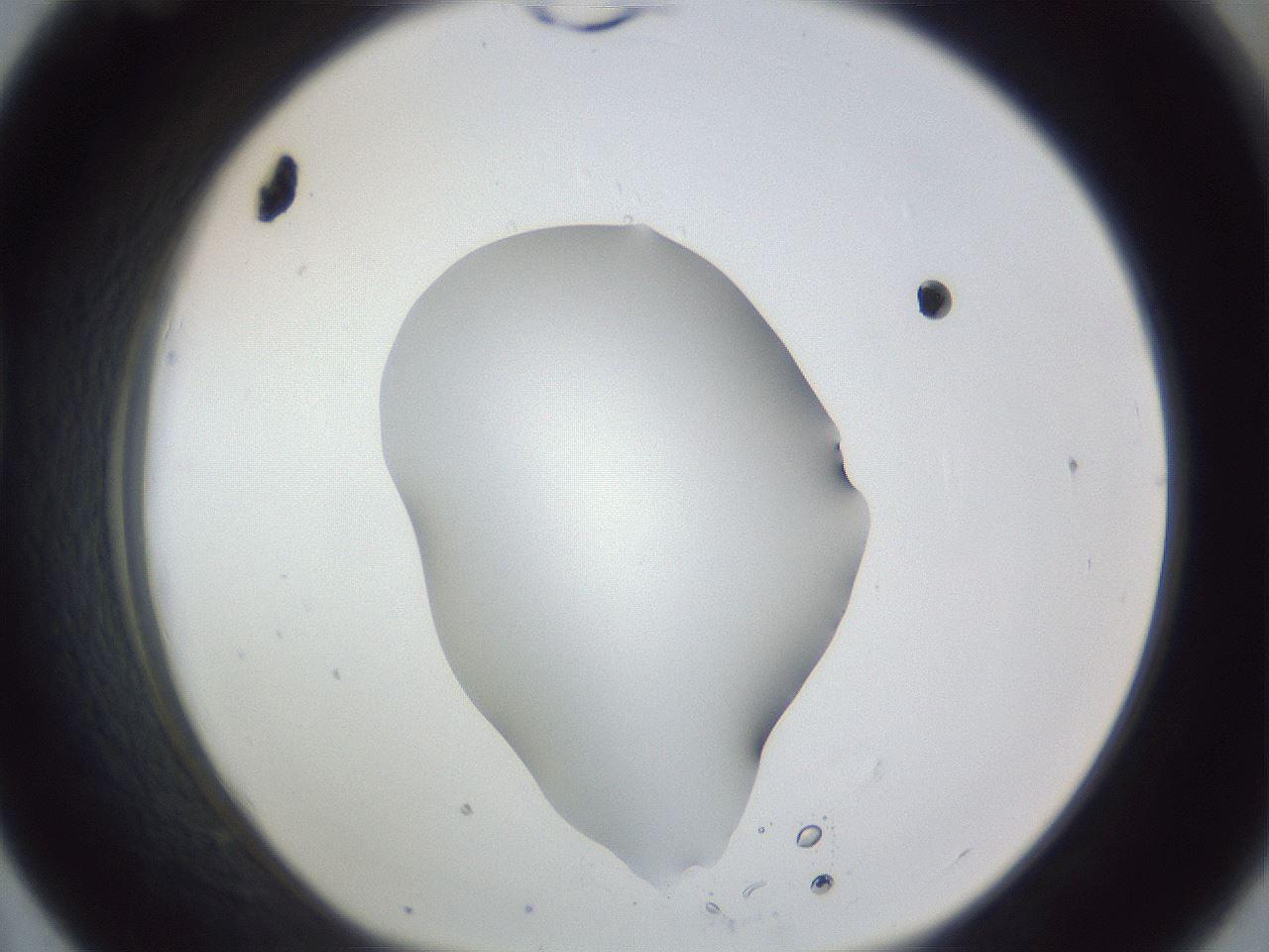 folderID52_plateID1052_batchID2254_wellNum43_profileID1_d1_r47589_ef.jpg