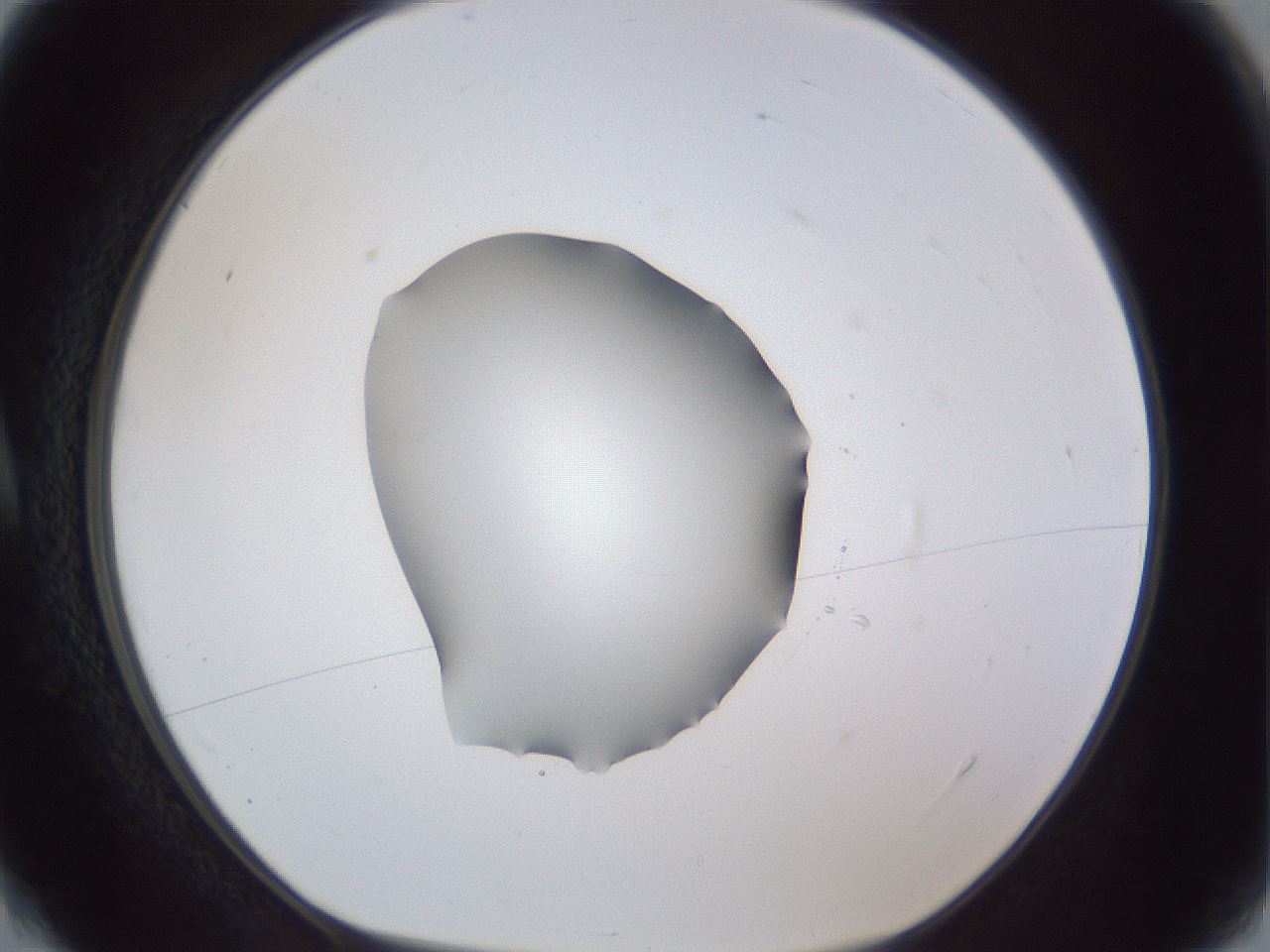 folderID52_plateID1052_batchID2254_wellNum4_profileID1_d1_r47511_ef.jpg