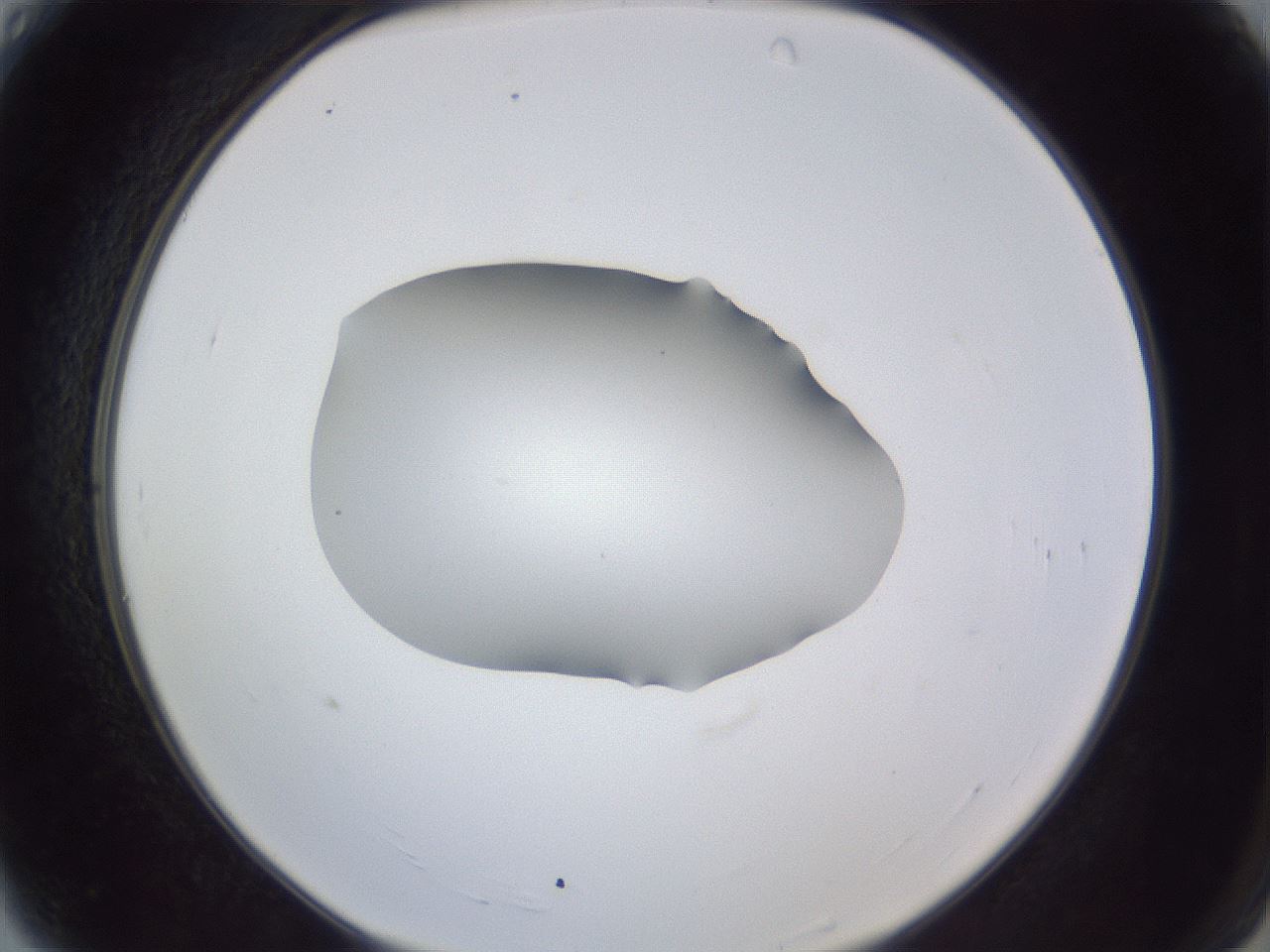 folderID52_plateID1052_batchID2254_wellNum4_profileID1_d2_r47512_ef.jpg
