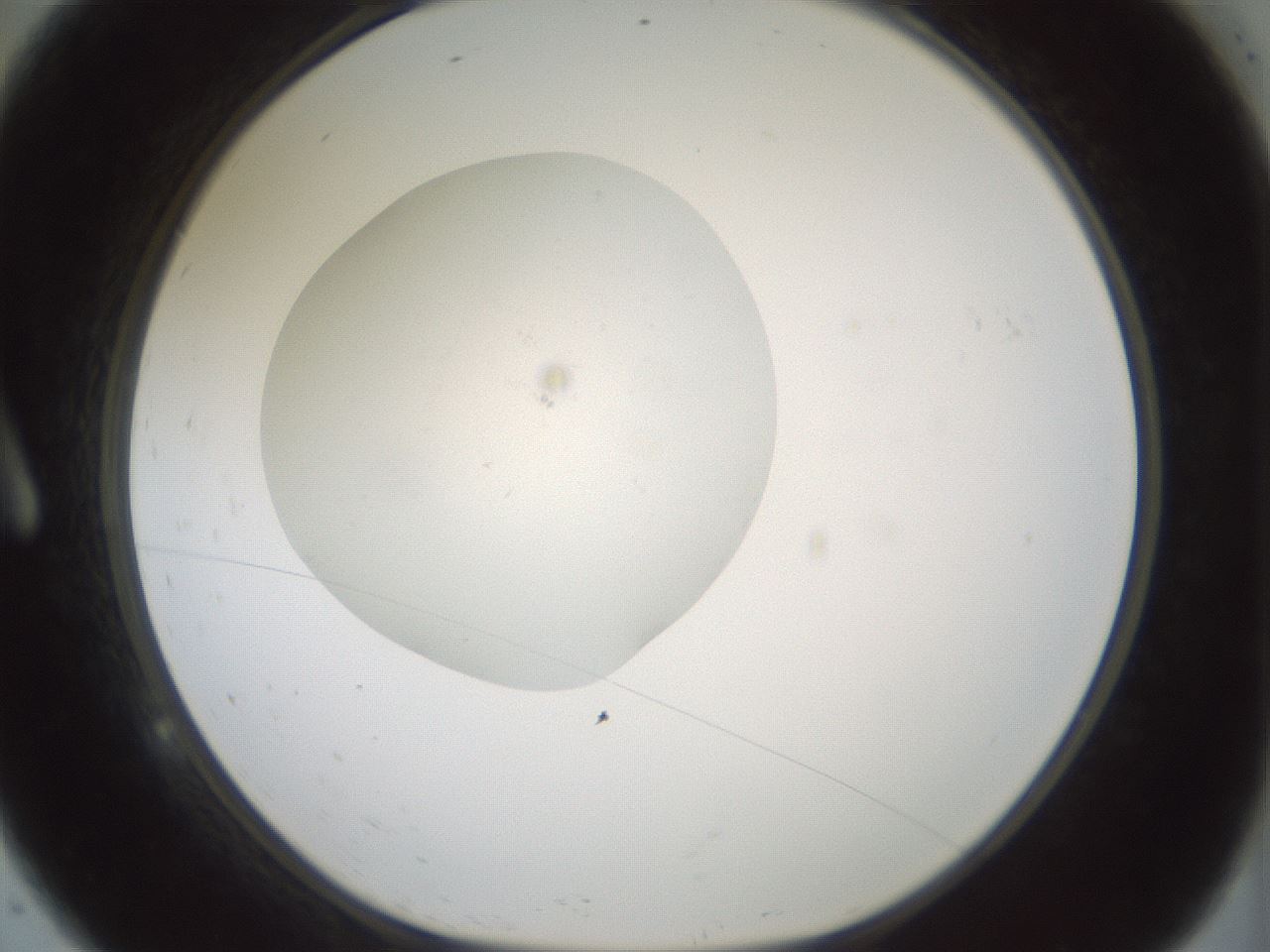 folderID430_plateID1430_batchID5437_wellNum9_profileID1_d1_r89513_ef.jpg