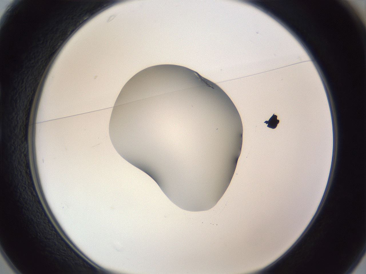 folderID52_plateID1052_batchID2254_wellNum25_profileID1_d1_r47553_ef.jpg