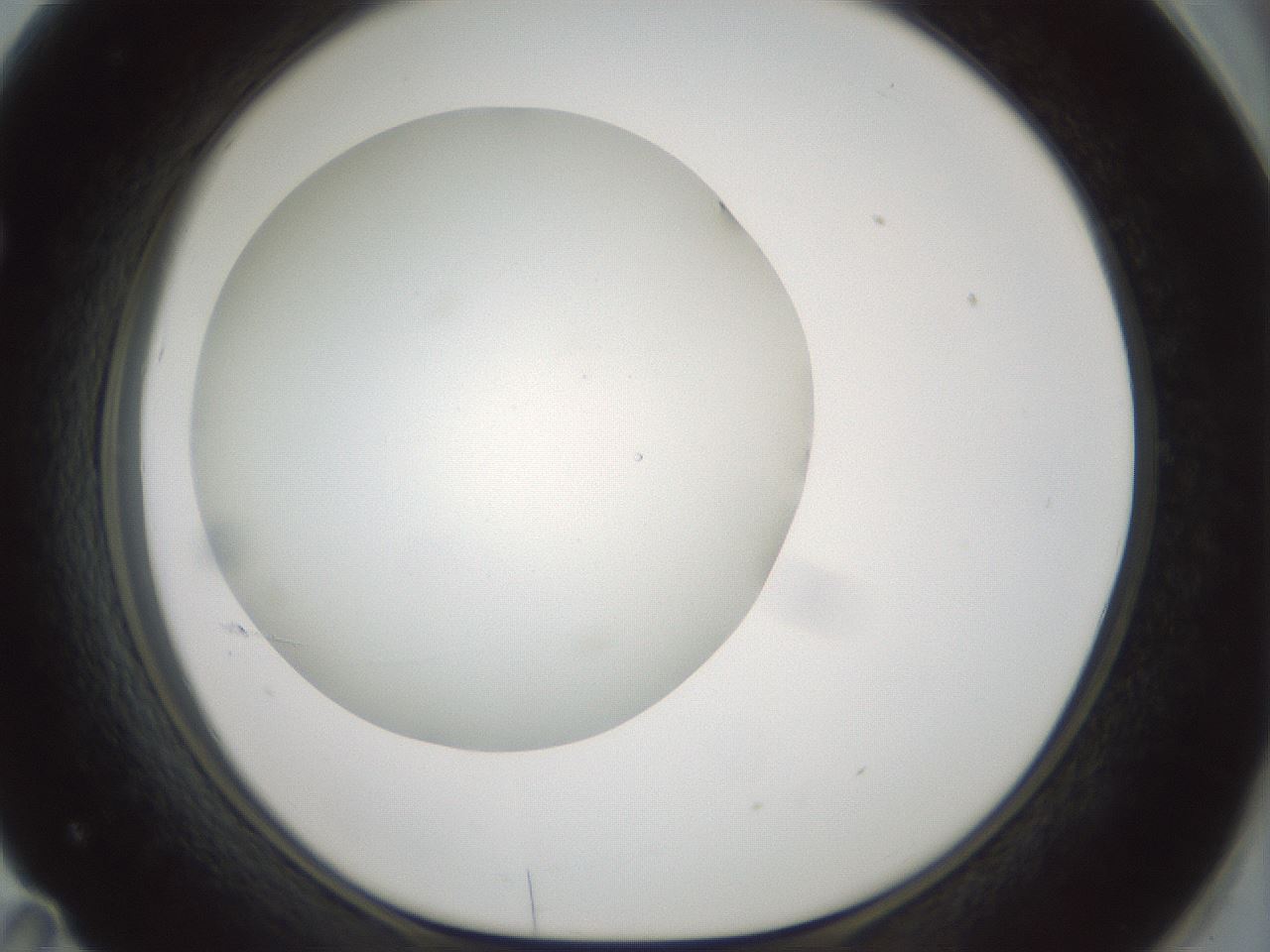 folderID431_plateID1431_batchID5431_wellNum71_profileID1_d1_r87909_ef.jpg