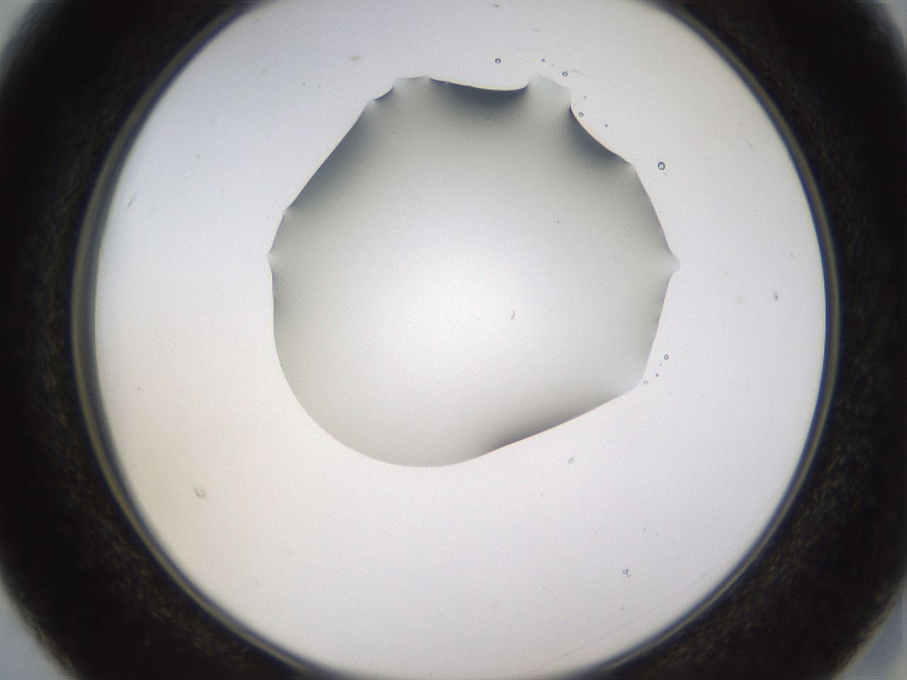 folderID432_plateID1432_batchID5439_wellNum15_profileID1_d2_r87990_ef.jpg