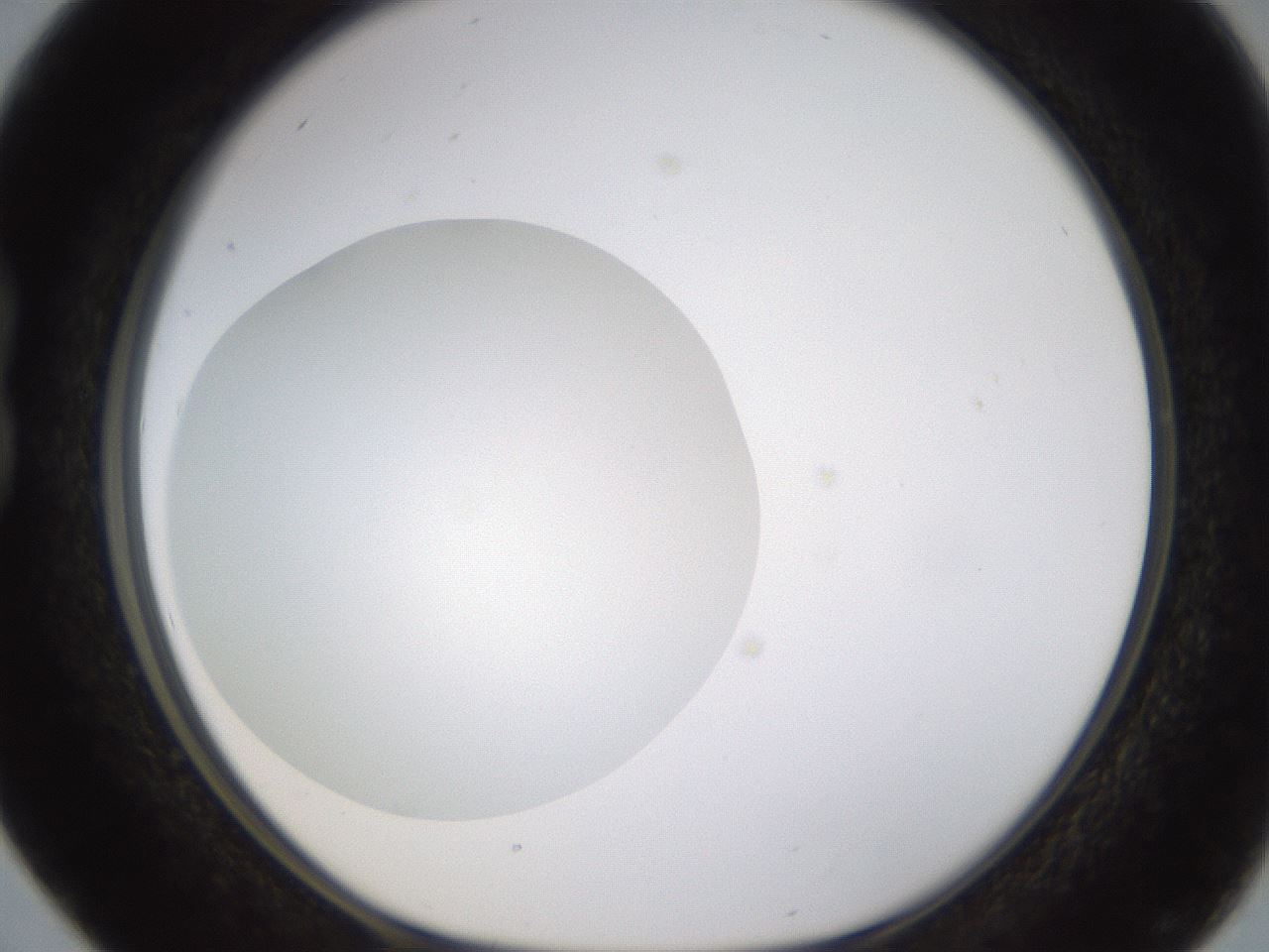 folderID432_plateID1432_batchID5439_wellNum16_profileID1_d1_r87991_ef.jpg