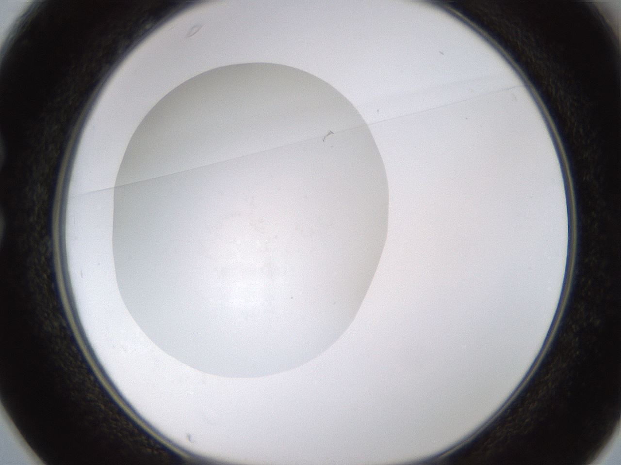 folderID432_plateID1432_batchID5439_wellNum25_profileID1_d1_r88009_ef.jpg