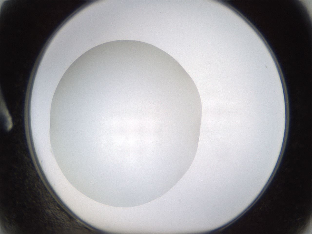 folderID432_plateID1432_batchID5439_wellNum2_profileID1_d1_r87963_ef.jpg