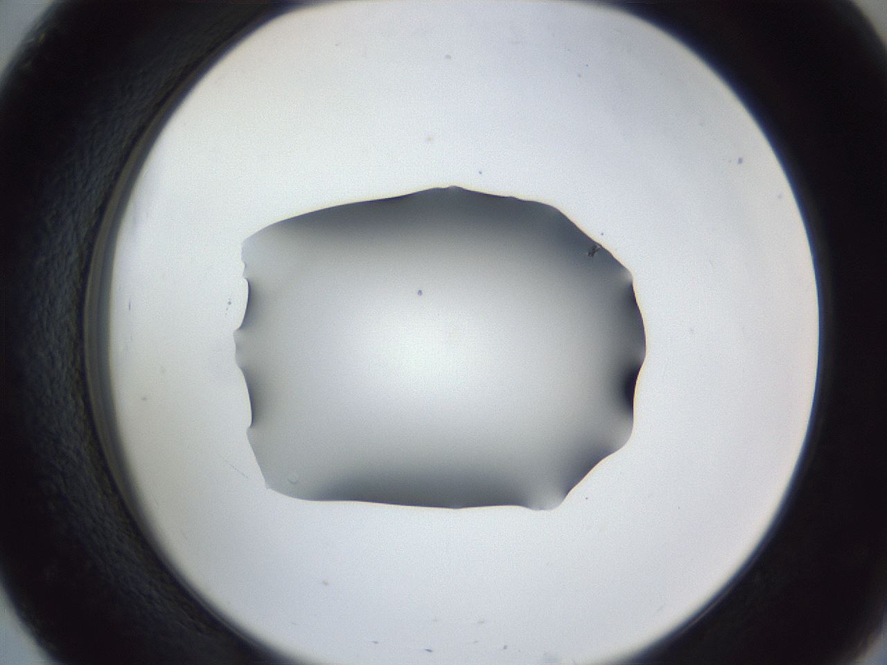 folderID52_plateID1052_batchID2254_wellNum51_profileID1_d2_r47606_ef.jpg