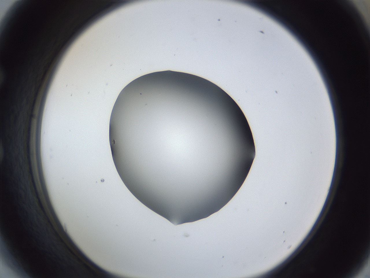 folderID52_plateID1052_batchID2254_wellNum54_profileID1_d1_r47611_ef.jpg