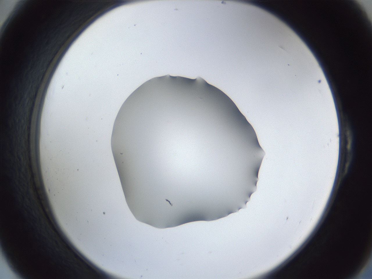 folderID52_plateID1052_batchID2254_wellNum54_profileID1_d2_r47612_ef.jpg