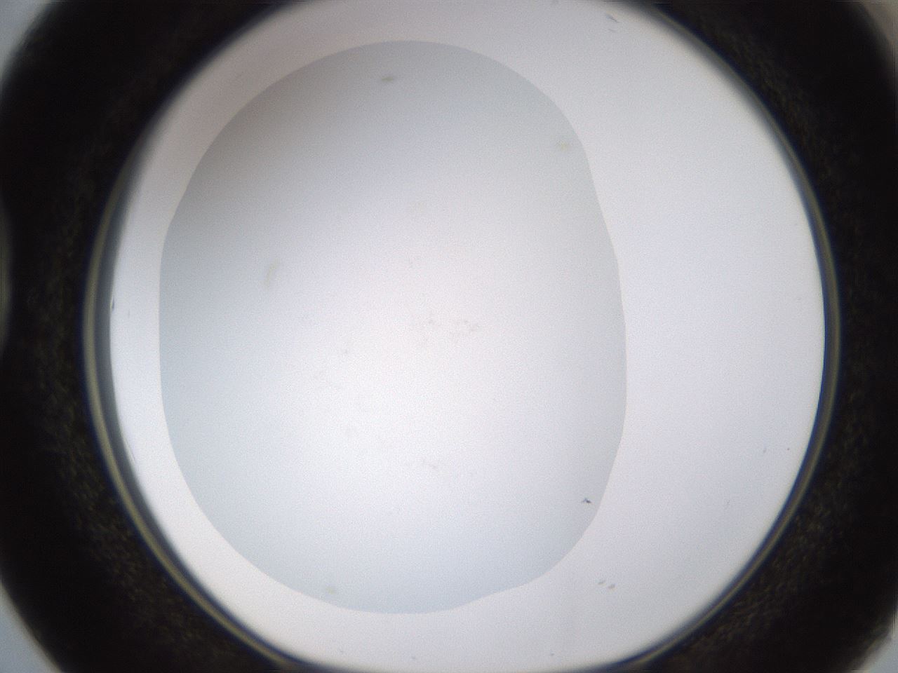 folderID432_plateID1432_batchID5439_wellNum38_profileID1_d1_r88035_ef.jpg