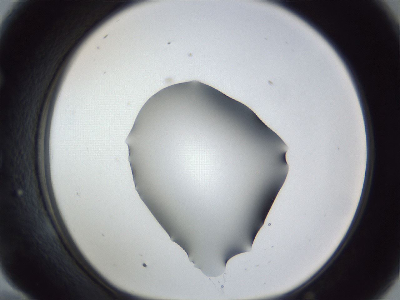 folderID52_plateID1052_batchID2254_wellNum58_profileID1_d1_r47619_ef.jpg