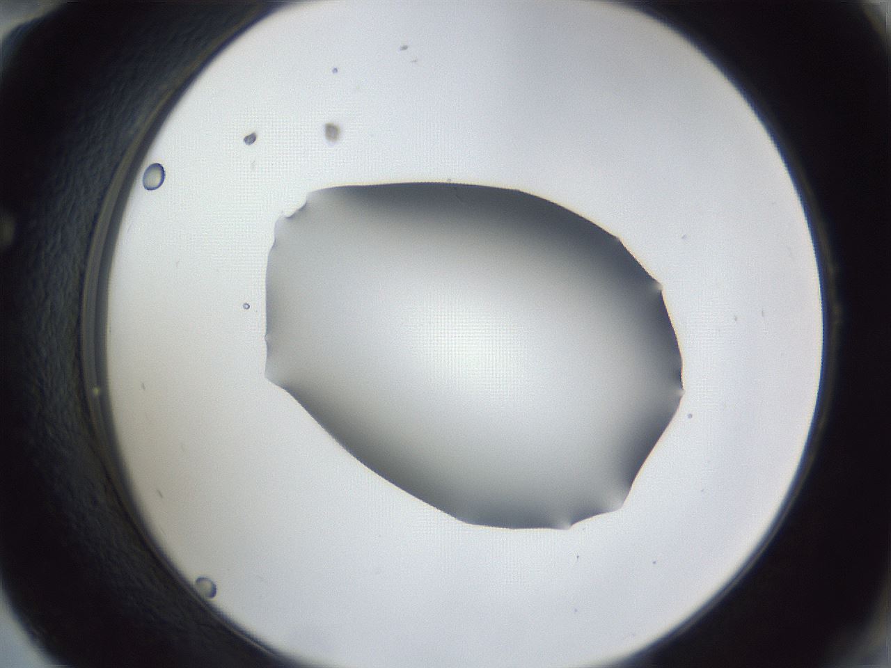 folderID52_plateID1052_batchID2254_wellNum58_profileID1_d2_r47620_ef.jpg