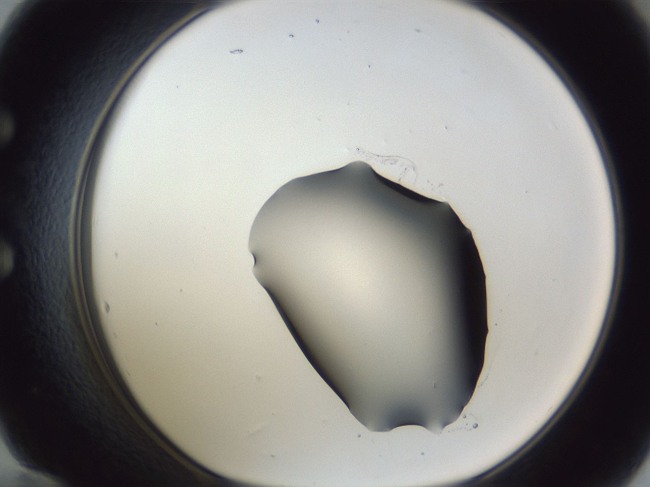 folderID52_plateID1052_batchID2254_wellNum60_profileID1_d1_r47623_ef.jpg