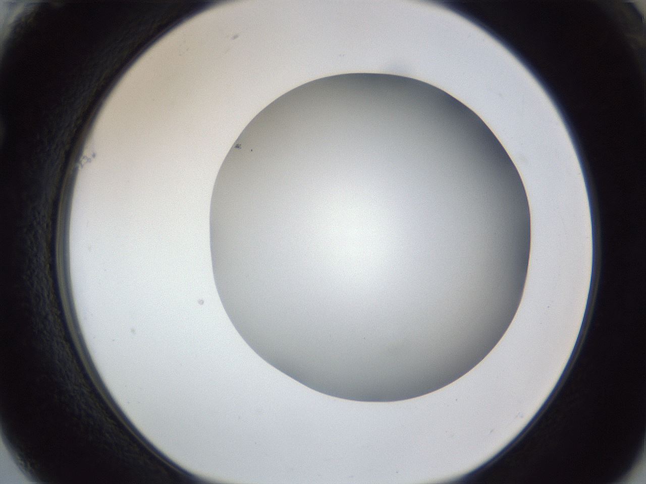 folderID52_plateID1052_batchID2254_wellNum61_profileID1_d1_r47625_ef.jpg